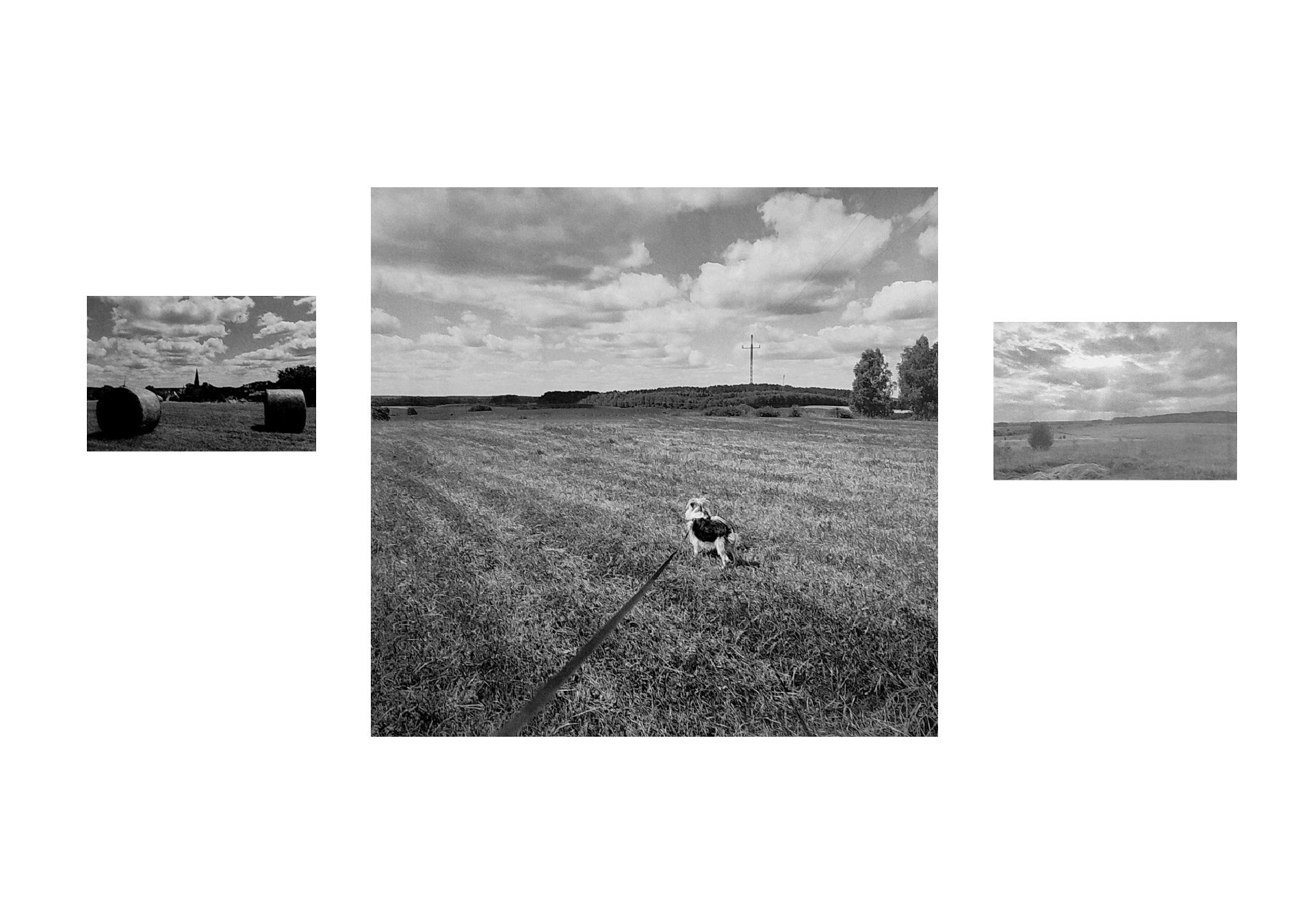 Obraz przedstawia trzy zdjęcia pejzażu połączone linią horyzontu. W środkowym kadrze jest pies na smyczy zwrócony w stronę horyzontu. Obraz jest czarno biały.