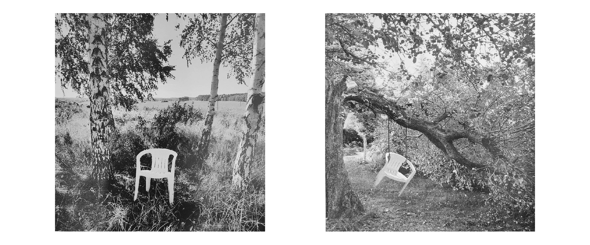 Obraz przedstawia zdjęcie plastikowego krzesła pośród brzóz na tle pejzażu. Obraz sąsiedni przedstawia takie samo krzesło zawieszone na drzewie. Oba obrazy są czarno białe.