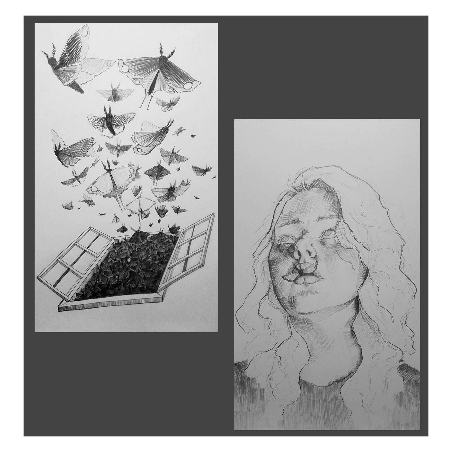 Na grafice widnieje postać kobiety z motylem w obrębie ust. Po lewej stronie zaprezentowano rysunek okna z którego wydobywa się spora ilość motyli.