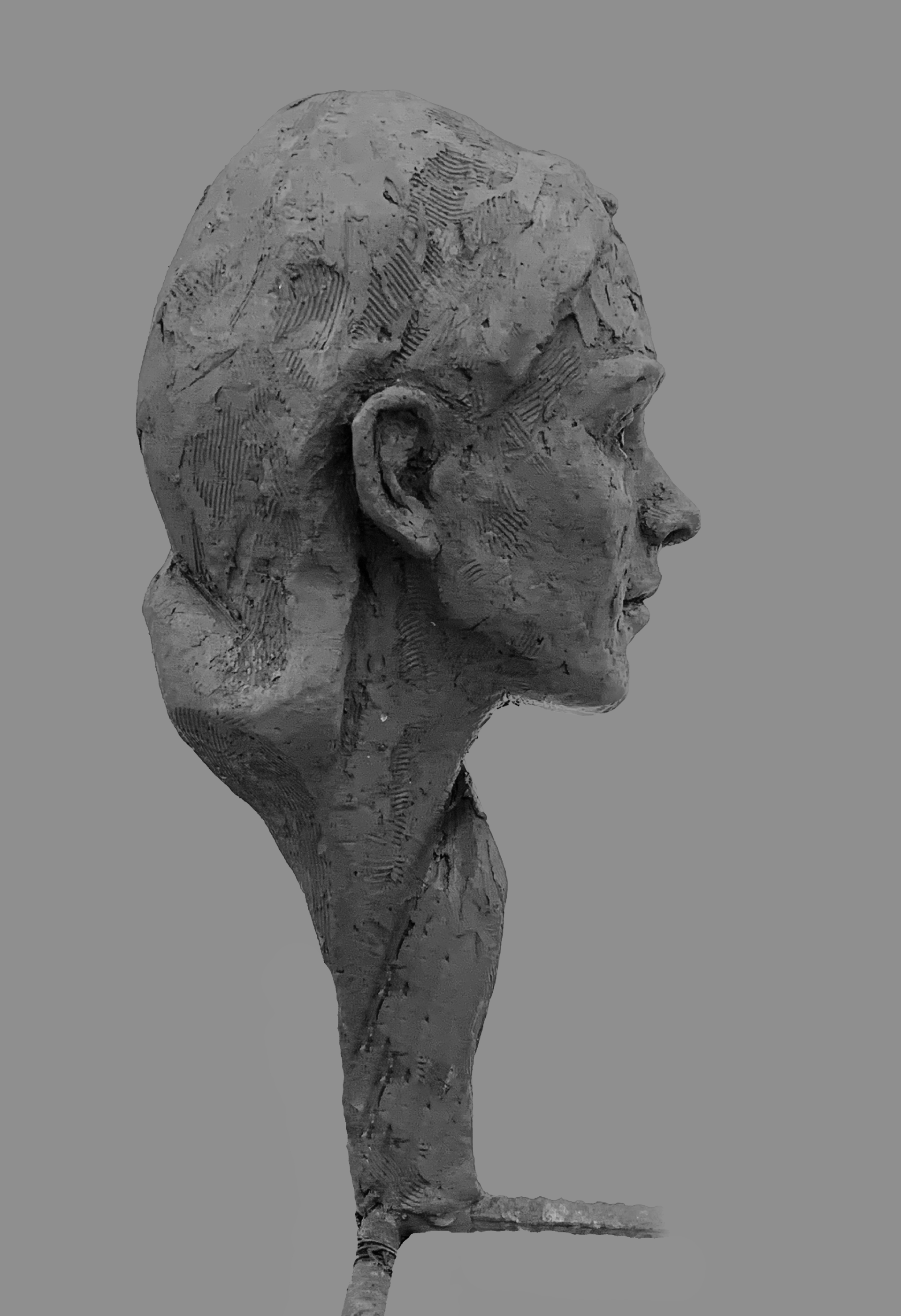 :zdjęcie przedstawia kobiecy portret rzeźbiarski, z rozpuszczonymi włosami, powierzchnia rzeźby pokryta delikatną strukturą, ujęcie profilowe