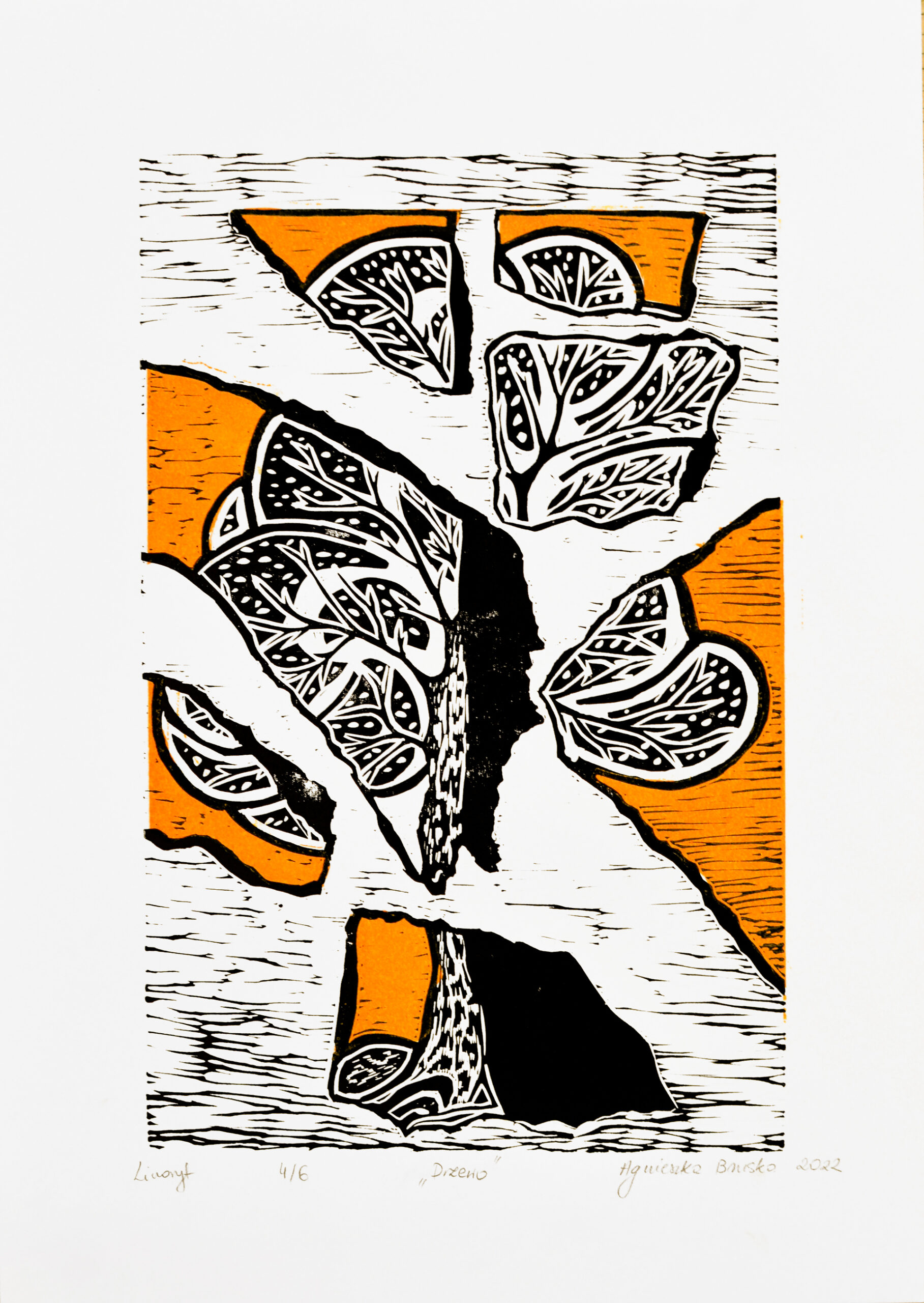 Fotografia przedstawia linoryt dwukolorowy podzieloną na części formą drzewa, przypominającą porwaną kartkę.