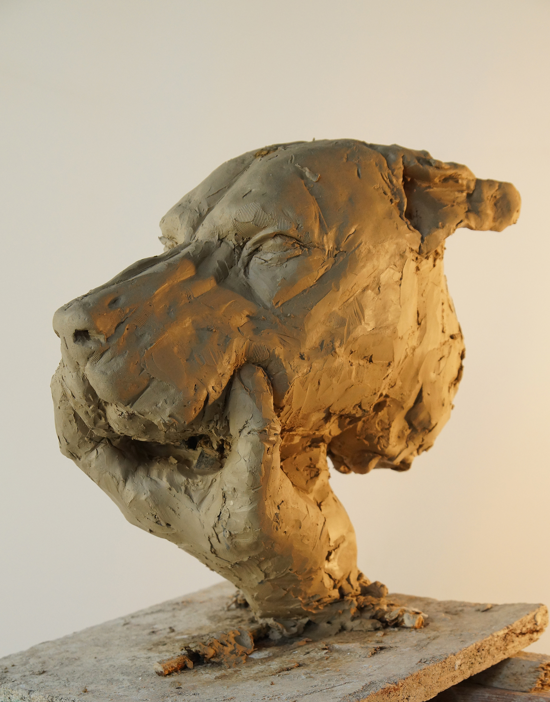 Realistyczna forma przestrzenna wykonana w glinie. Rzeźba ukazuje głowę psa z uszami położonymi po sobie, wspartej na ludzkiej lewej dłoni. Palce zaciskają zamknięty pysk psa