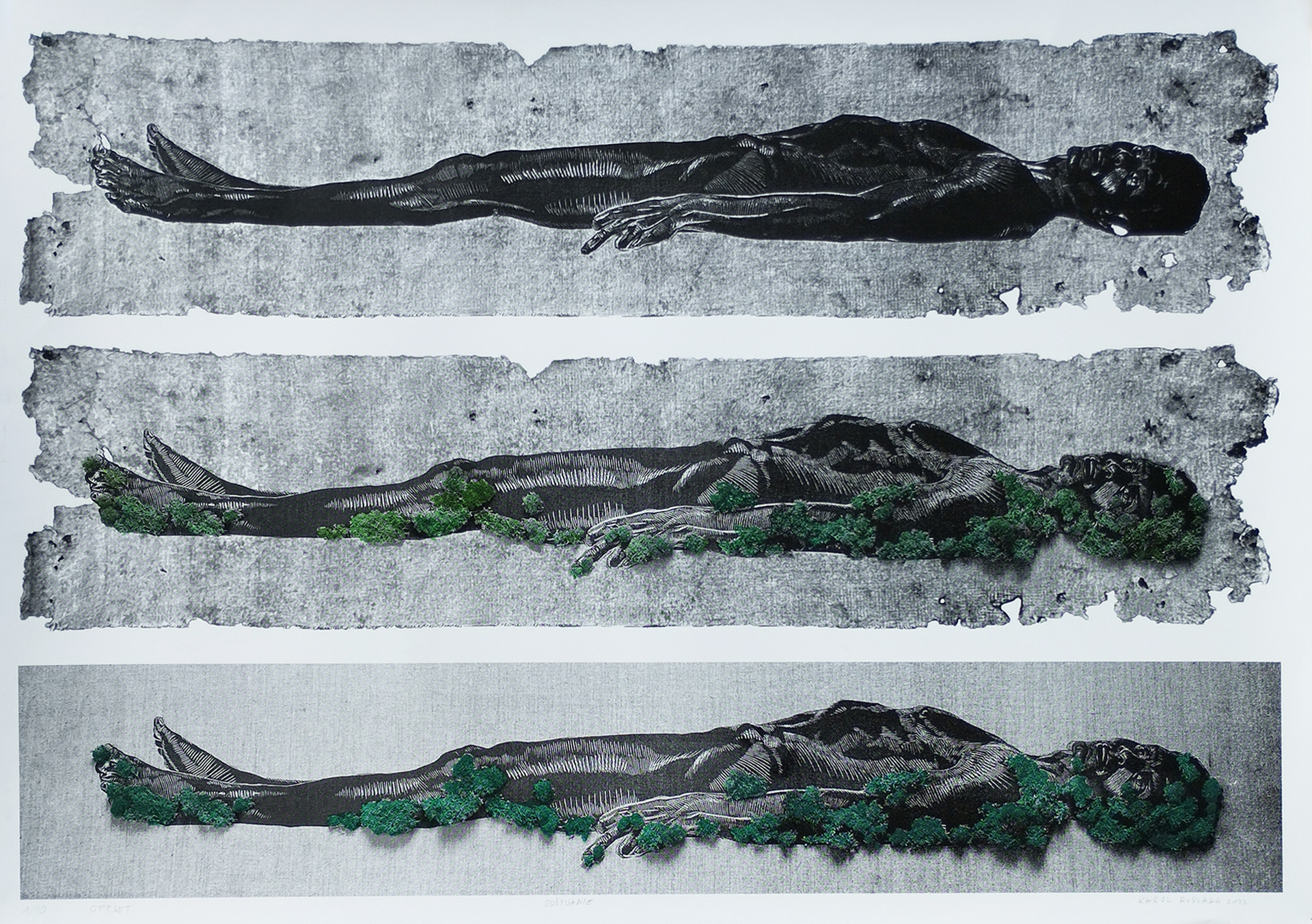 Obraz przedstawia trzy powtórzone, czarno białe rysunki leżącej postaci, jeden pod drugim. Do rysunków dodane są kępy zielonego mchu.