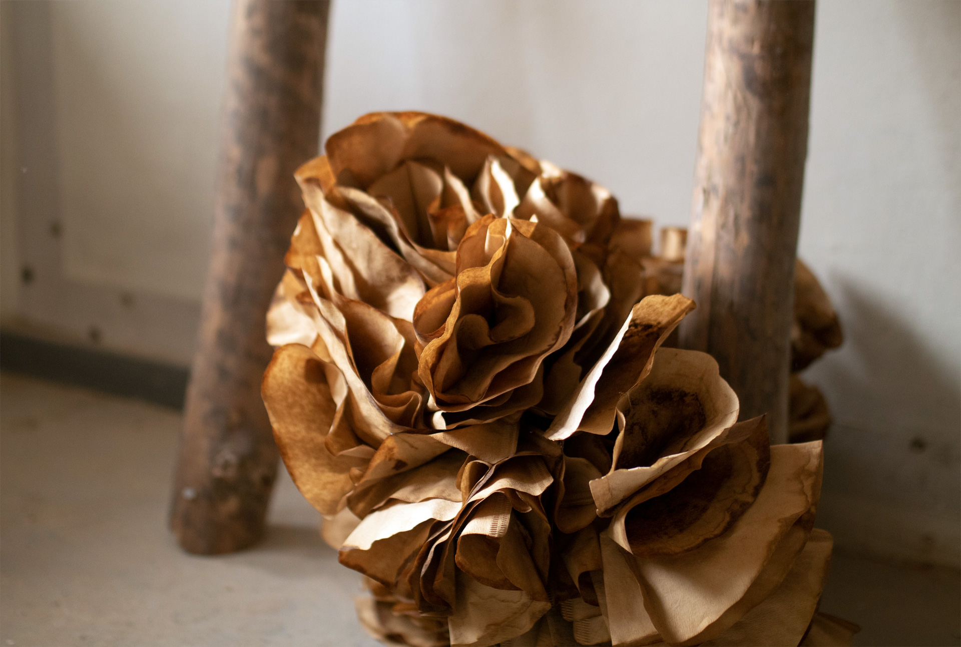 Brązowo-beżowa kompozycja, z prawej strony zużyte filtry do kawy sklejone ze sobą w organiczną formę przypominającą kwiat, oplatające trzonek, z prawej strony podobny trzonek.