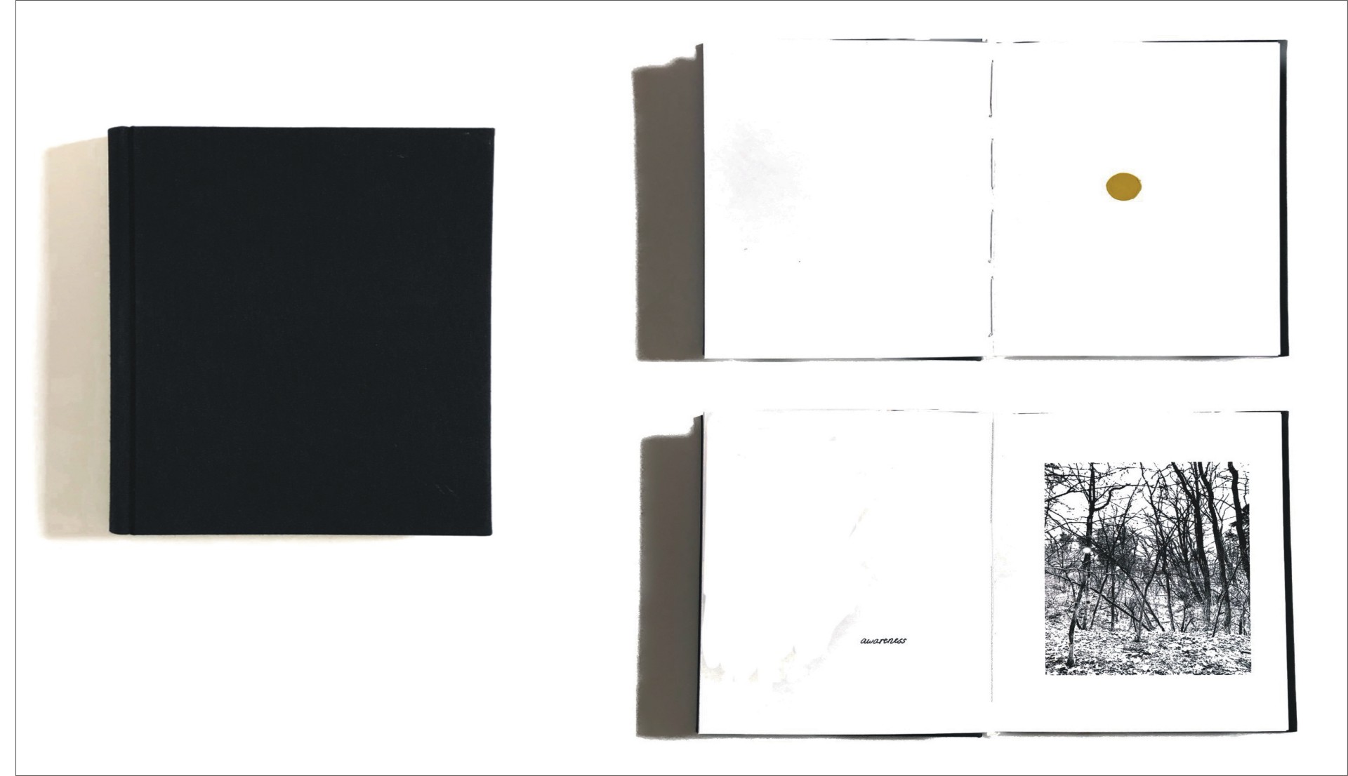 Unikatowa książka artystyczne, okładka twarda, czarna, płócienna, strony – wydruki czarnobiałe, motywy lasu, słowa w j. angielskim na białych stronach, białe strony z ręcznie wykonanymi kolorowymi znakami graficznymi  