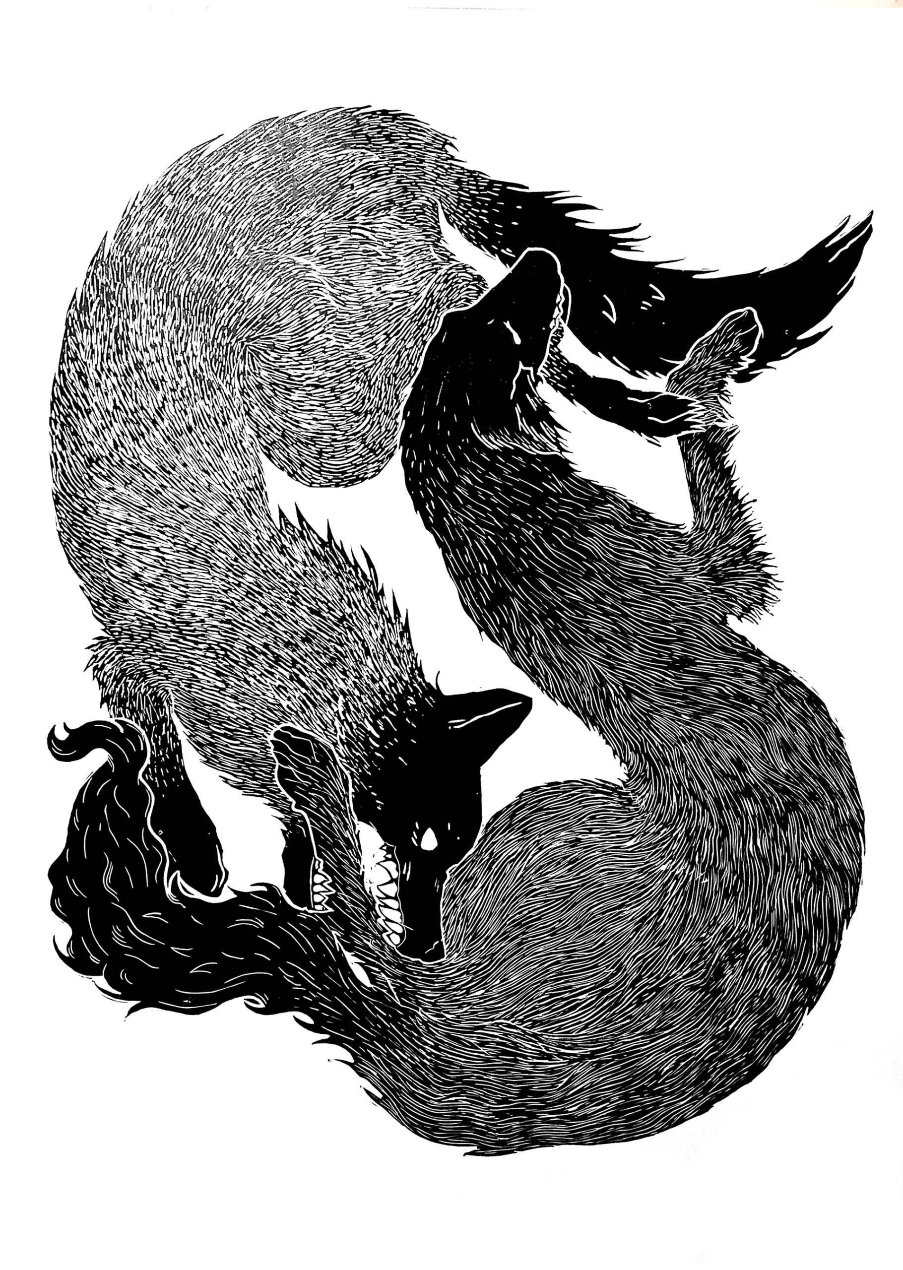 Fotografia przedstawia czarno-biały linoryt z walczącymi psem i wilkiem