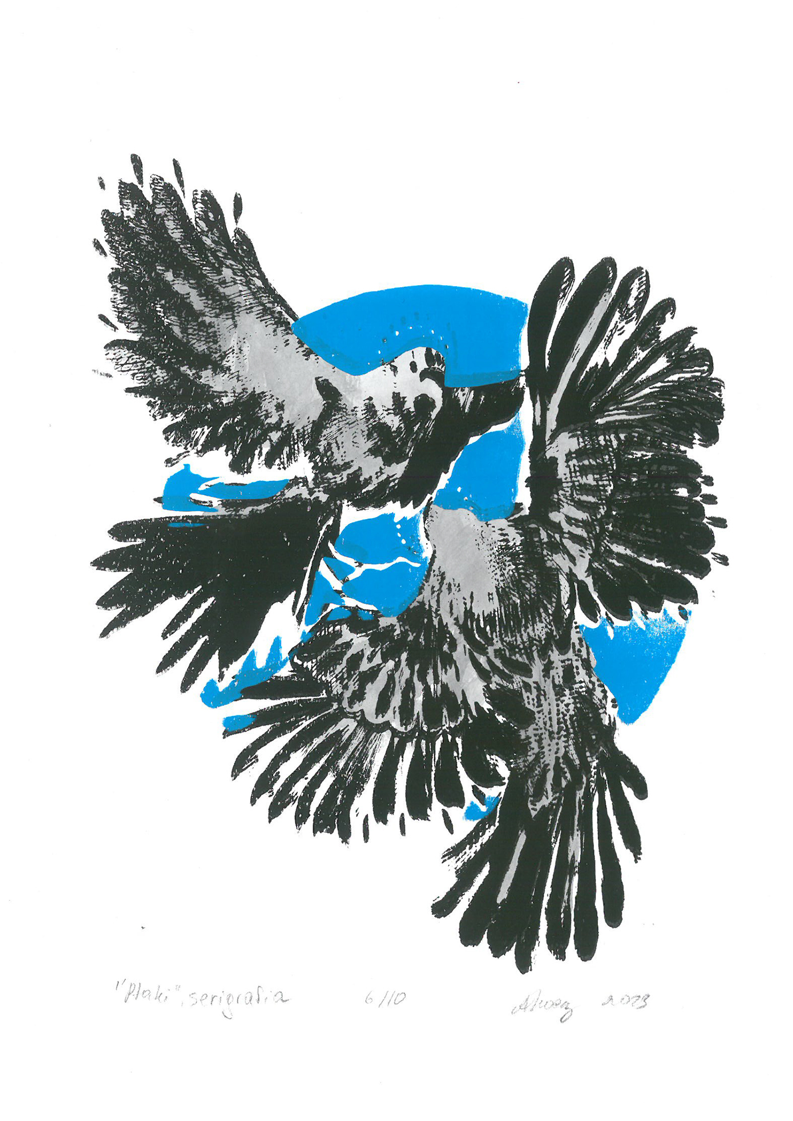 Grafika przedstawia dwa lecące ptaki, w tle niebieska abstrakcyjna apla)