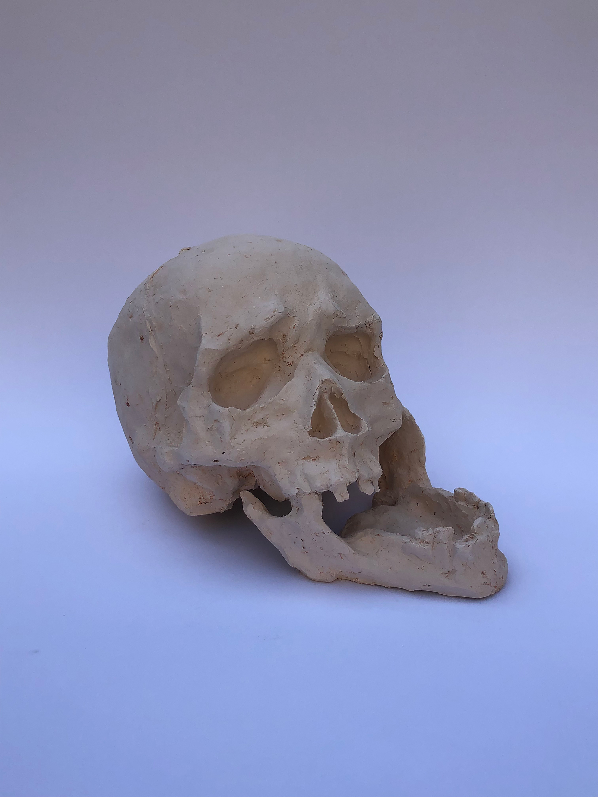 Ceramiczna rzeźba czaszki z wystawioną żuchwą i pojedynczymi zębami. Łukbrwiowy jest lekko zniekształcony co lekko sugeruje mimikę w przedstawionejczaszce. Dwie wersje pracy: jedna w surowej ceramice, druga poszkliwiona zmetalicznym połyskiem
