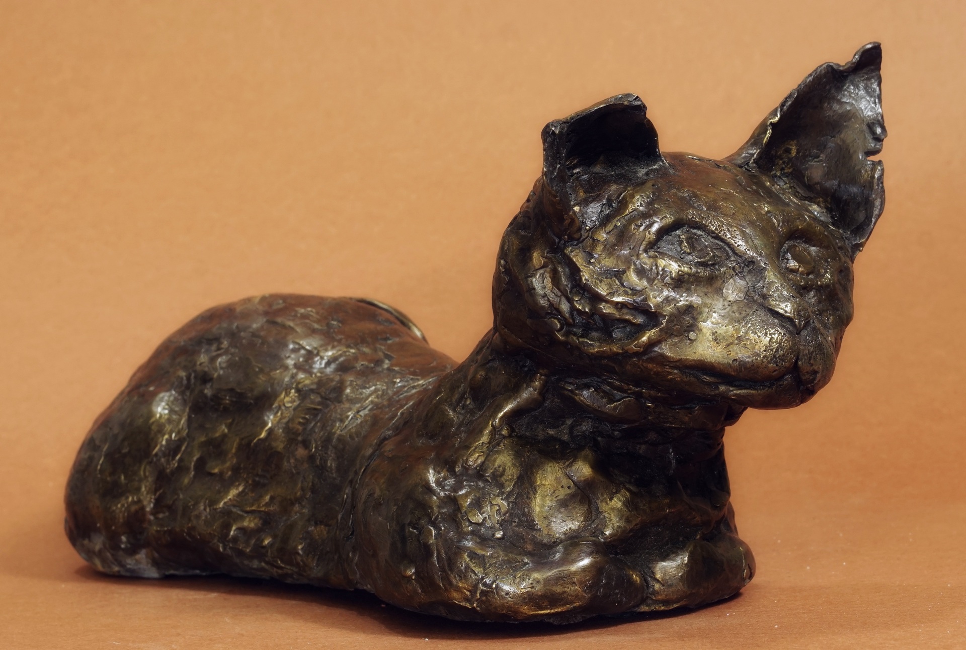 Michalina Niedziela- zdjęcie przedstawia rzeźbę kota sfinksa, bez jednego ucha, w brązowej patynie, wykonana z mosiądzu.