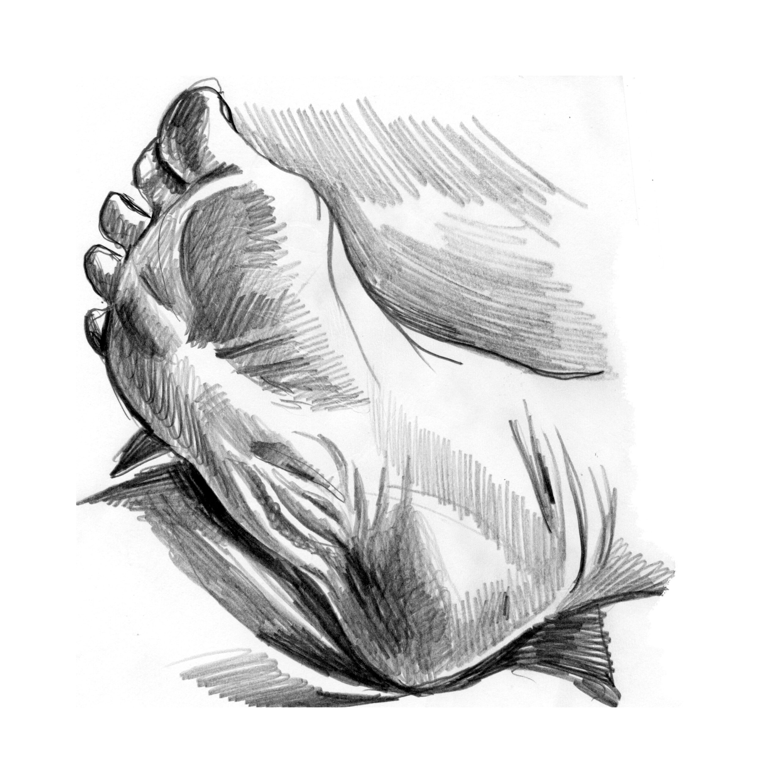 Zdjęcie przedstawia skan ze szkicownika, o formacie A5, ukazujący ołówkowe studium stopy.
