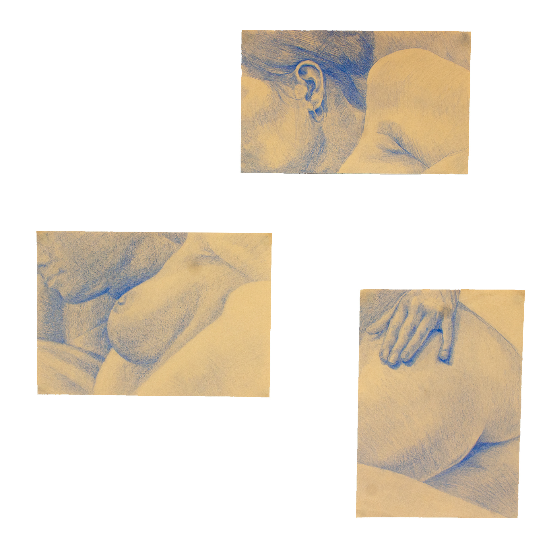 Utrzymane w błękitnej tonacji trzy realistyczne szkice przedstawiające fragmenty postaci  kobiecej leżącej na prawym boku.