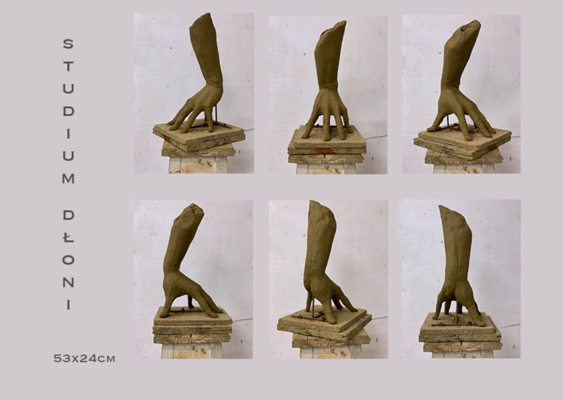 zdjęcie przedstawia studium dłoni opartej na rozszerzonych palcach. Rzeźba wykonana w glinie. Widoczne sześć ujęć. Po lewej stronie podane wymiary 53x24cm