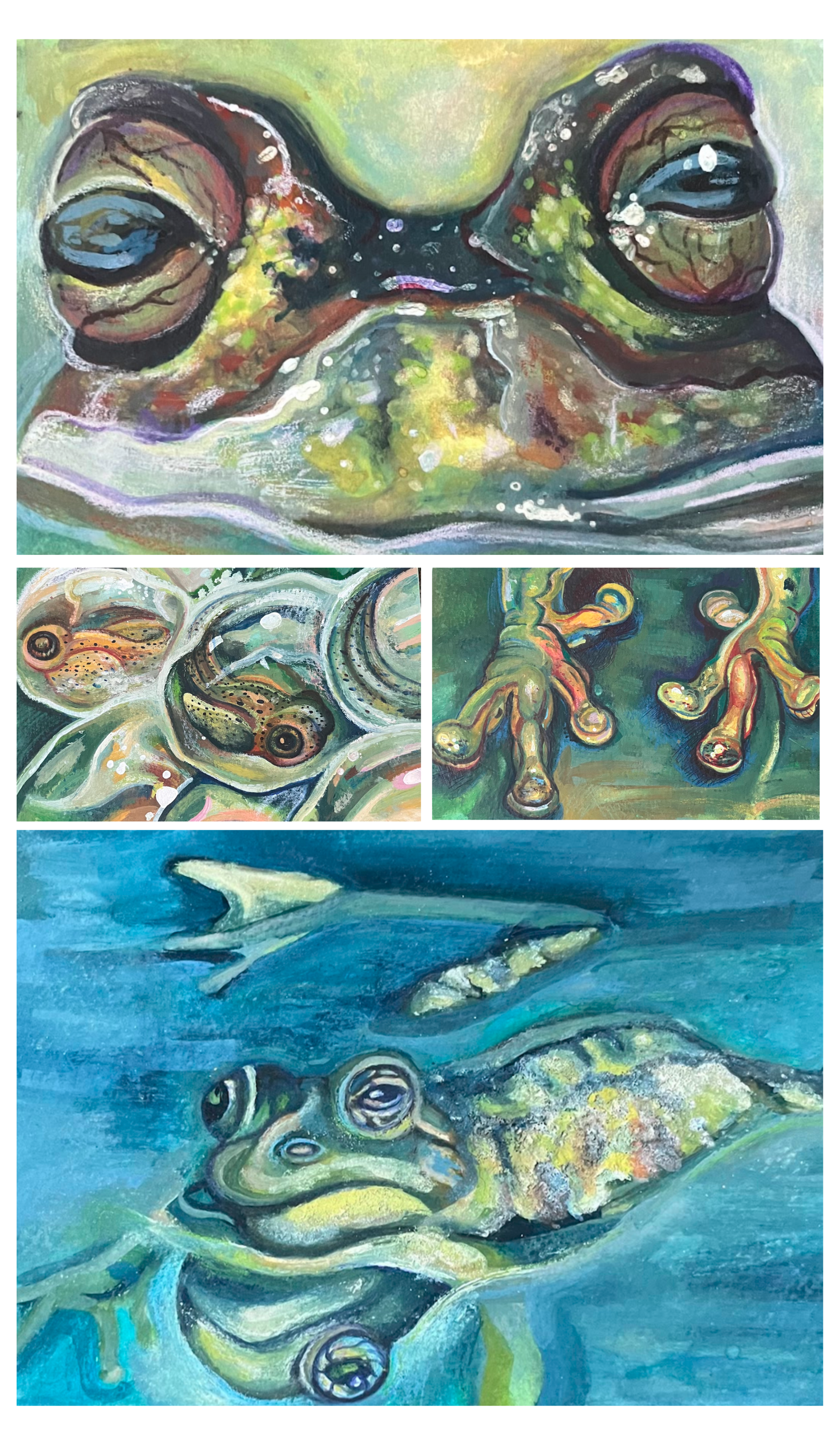 Układ 4 kolorowych obrazów na białym tle. Na każdym obrazku wykonanym w technice gwaszu na kartonie widać żaby w różnym ujęciu, oraz w różnych stadiach rozwoju, jajo, kijanka, osobnik dorosły.