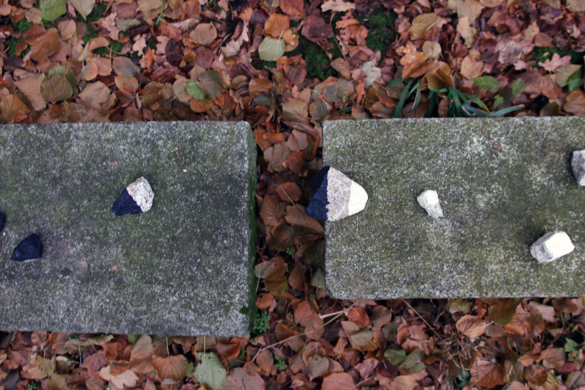 Zdjęcie przedstawia dwie kamienne płyty leżące na liściach, w ujęciu od góry. Na płytach leżą białe kamienie. Część z nich pomalowana jest na biało, część na czarno a niektóre na biało-czarno