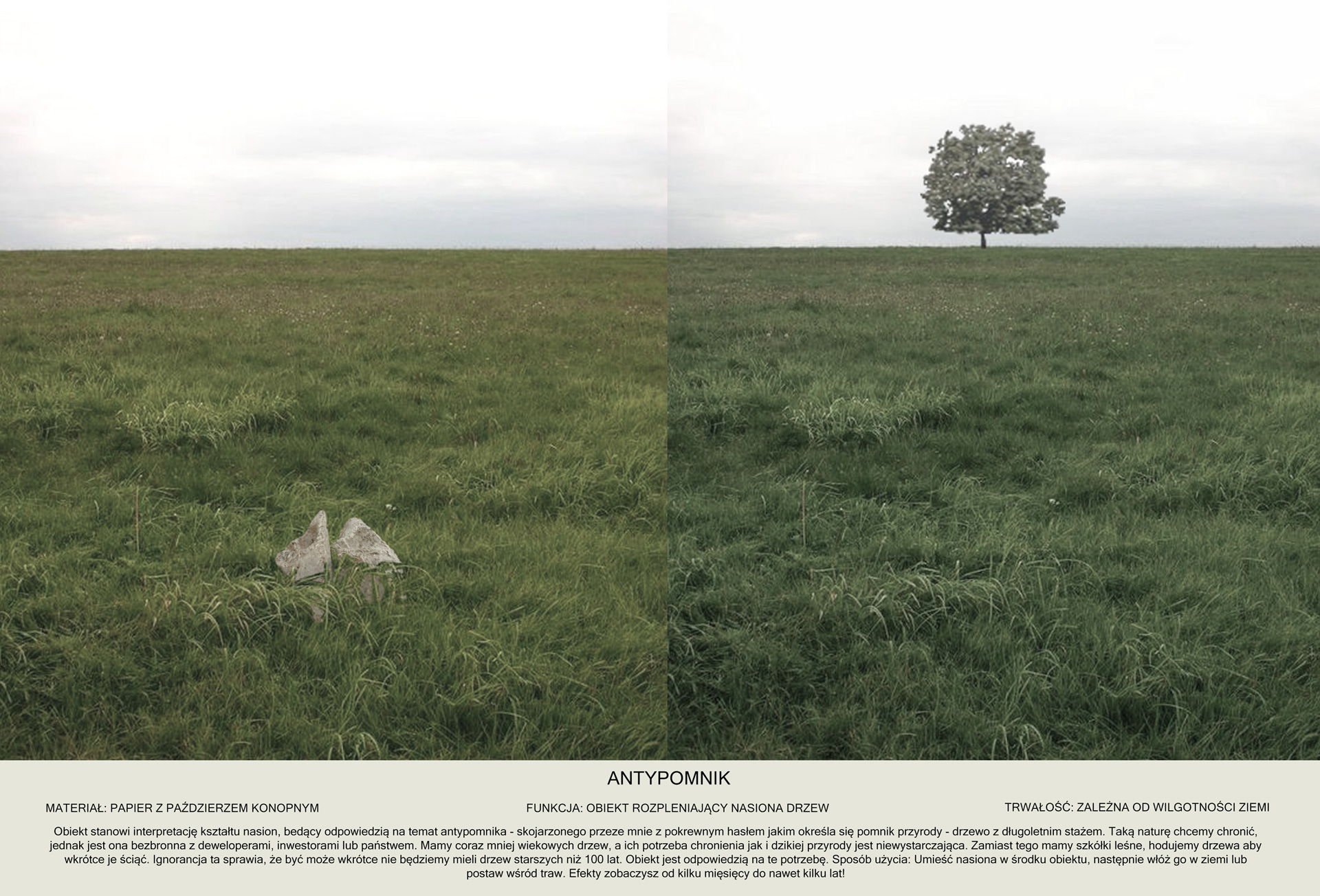 Dwa zestawione zdjęcia zielonej łąki z drzewem na linii horyzontu po prawej stronie. W lewym dolnym rogu znajduje się leżąca w trawie bezkształtna forma z masy papierowej przypominająca kamień