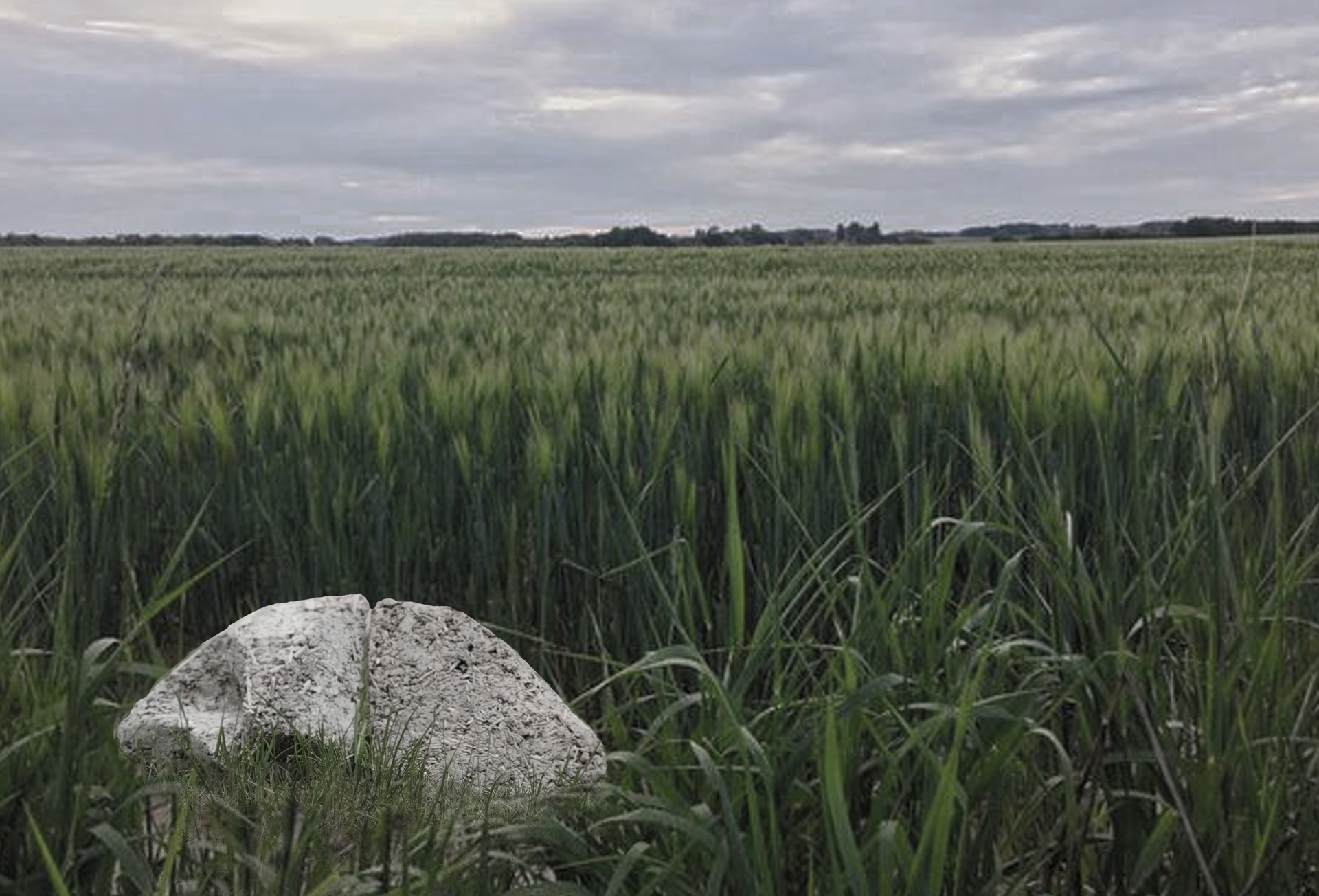 Zdjęcie zielonej trawy, w lewym dolnym rogu abstrakcyjna bryła z szarej masy papierowej przypominająca kamień. W tle wyraźna linia horyzontu.