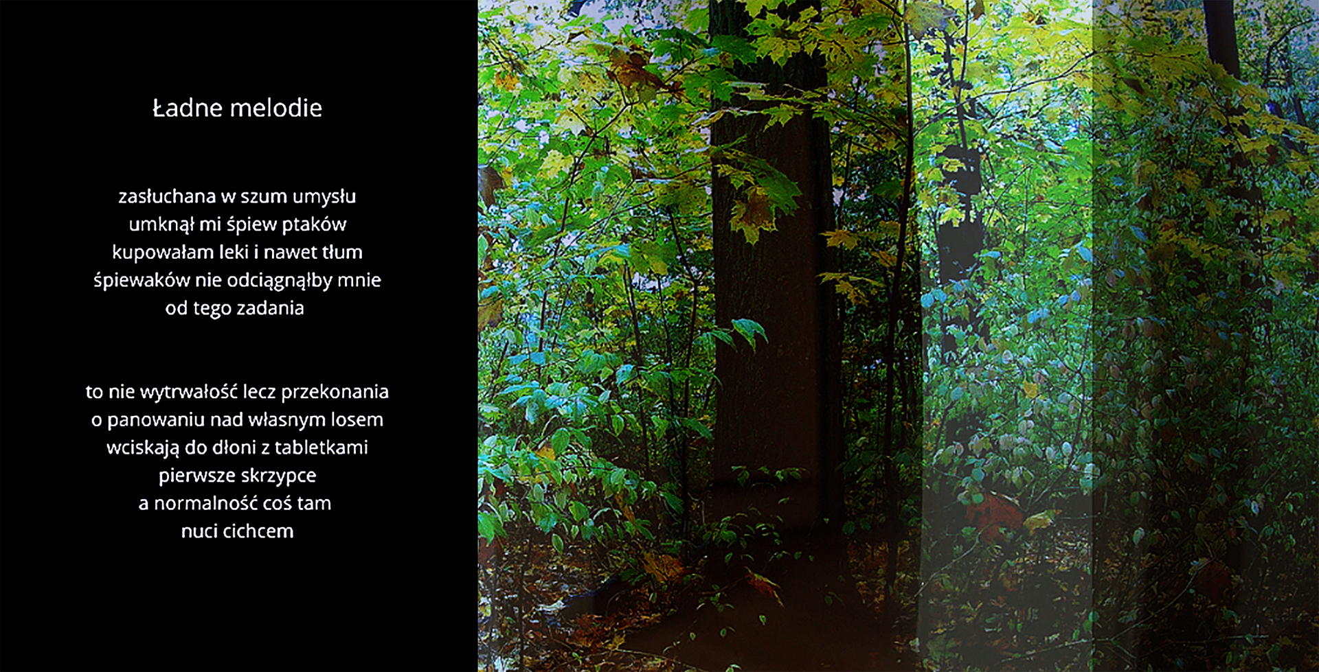 Kolorowa, przetworzona fotografia cyfrowa lasu, skonfrontowana z tekstem  autorskiego wiersza. 