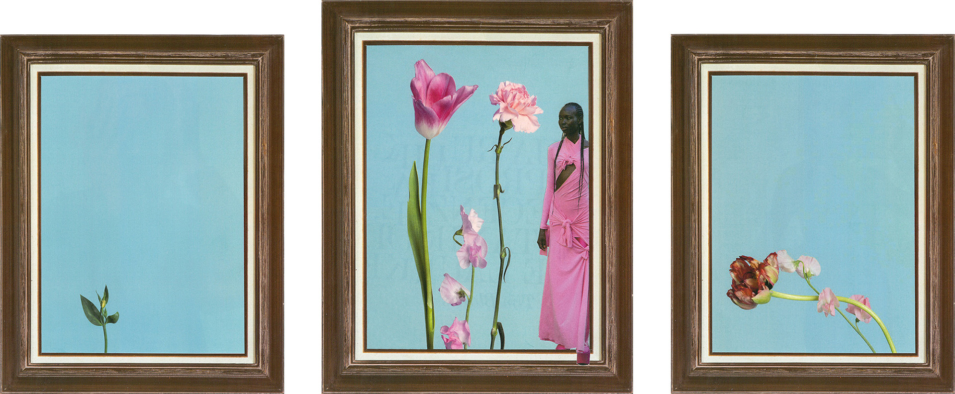 Weronika Stefaniak, Z(a)burzenie (tryptyk). Na pierwszym obrazie jest kiełkująca roślina. Na drugim kwitnące kwiaty wraz z kobietą. Na trzecim więdnące kwiaty.