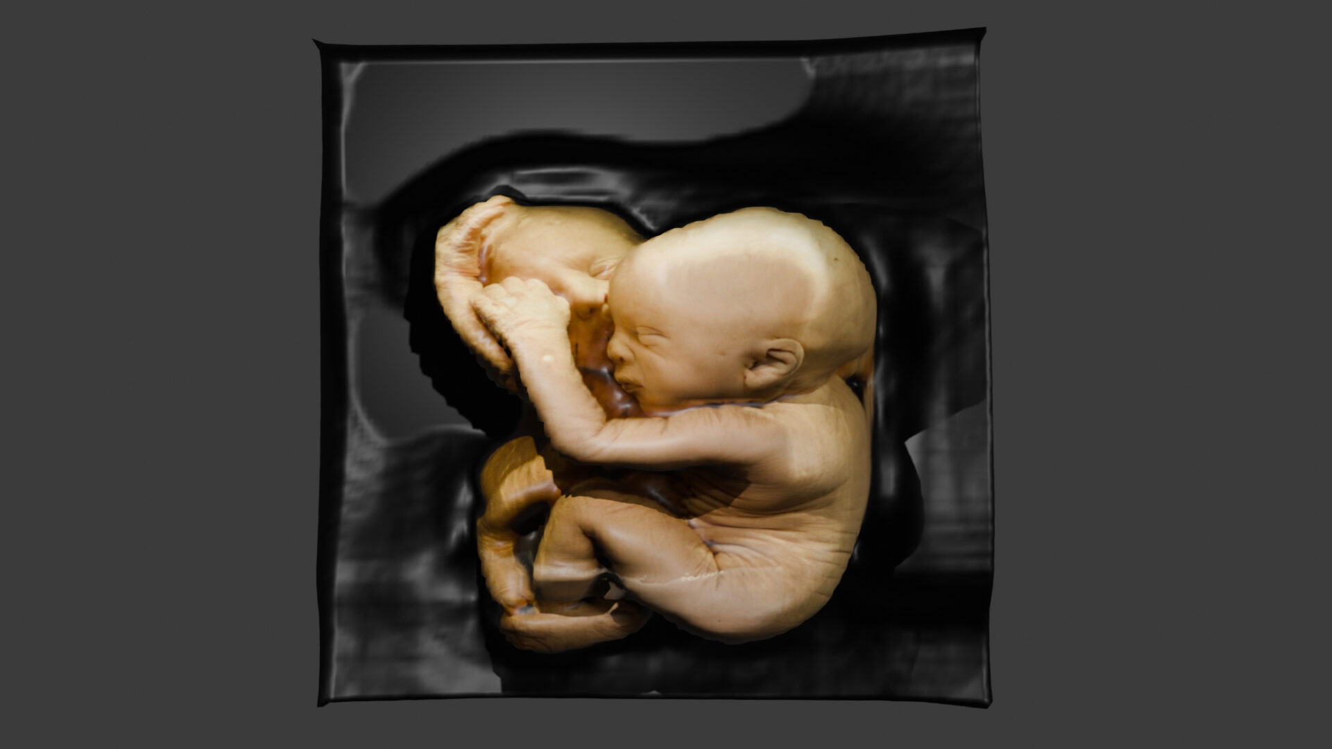 Fotografia przedstawia wygenerowany obiekt 3d, leżącego dziecka w pozycji embrionalnej o dwóch twarzach.  