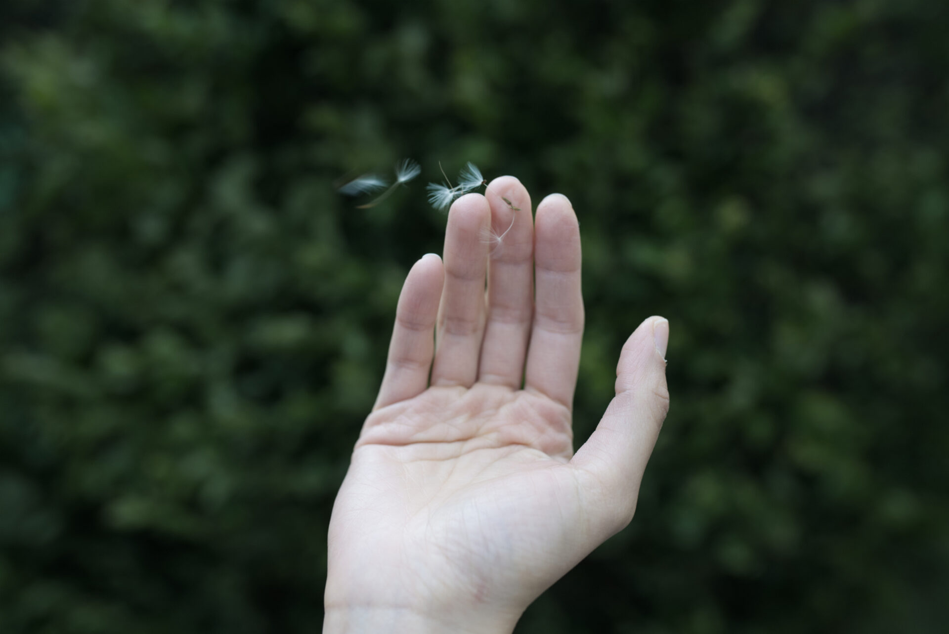 Część fotografii, przedstawia różne inscenizowane sytuacje z hidżabem, który przykrywa twarz lewitującej postaci, otula świecące diamenty, czy wisi na wieszaku przy drzwiach wejściowych do domu. Dodatkowo pojawia się fotografia osoby w geście modlitwy jest fotografia księżyca. Druga część fotografii przedstawia fragment ciała kobiecego, zaparowaną szybę z napisem “home”, roślinę,  dłoń trzymająca fragment dmuchawca oraz cień postaci na klatce schodowej.  