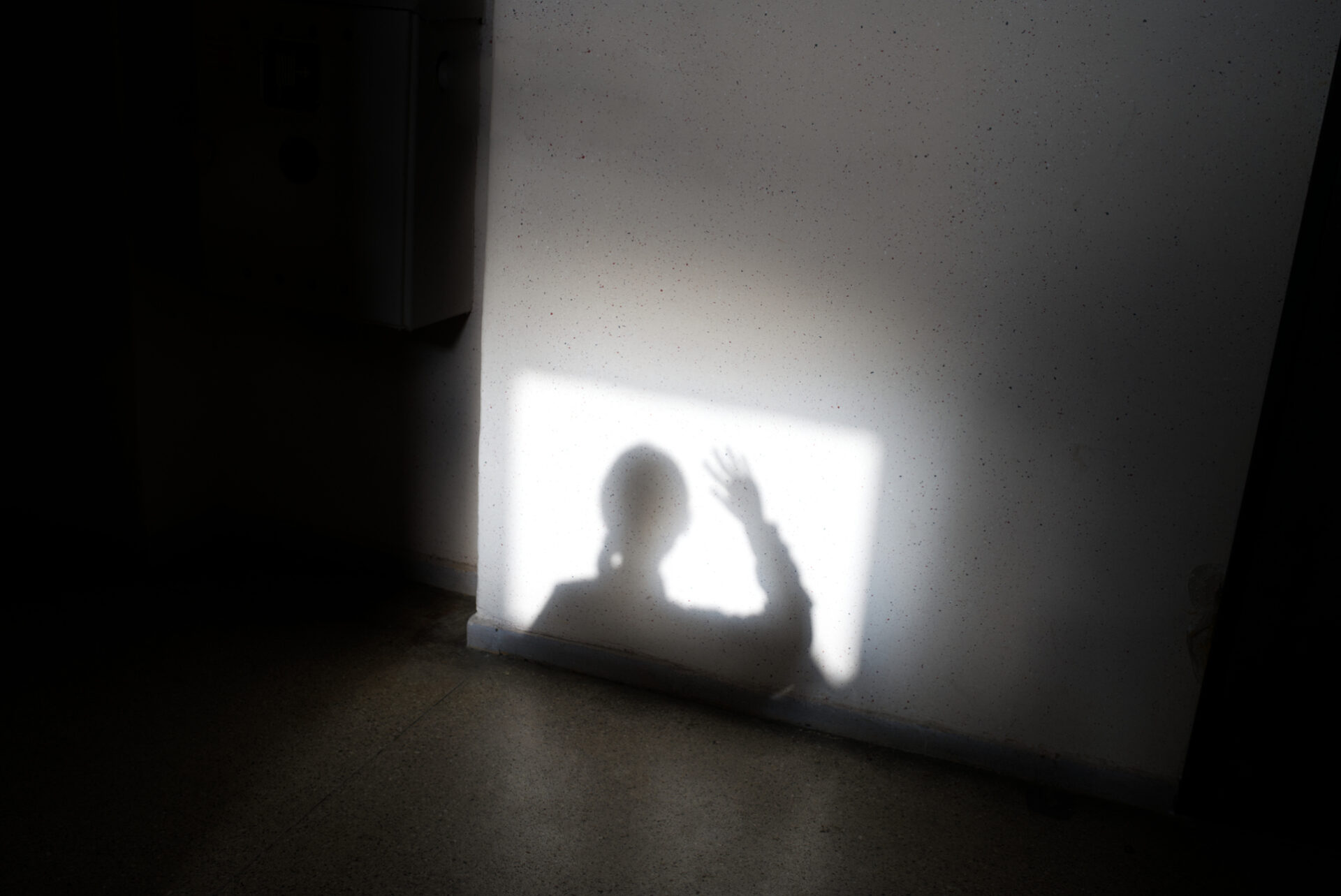 Część fotografii, przedstawia różne inscenizowane sytuacje z hidżabem, który przykrywa twarz lewitującej postaci, otula świecące diamenty, czy wisi na wieszaku przy drzwiach wejściowych do domu. Dodatkowo pojawia się fotografia osoby w geście modlitwy jest fotografia księżyca. Druga część fotografii przedstawia fragment ciała kobiecego, zaparowaną szybę z napisem “home”, roślinę,  dłoń trzymająca fragment dmuchawca oraz cień postaci na klatce schodowej.  