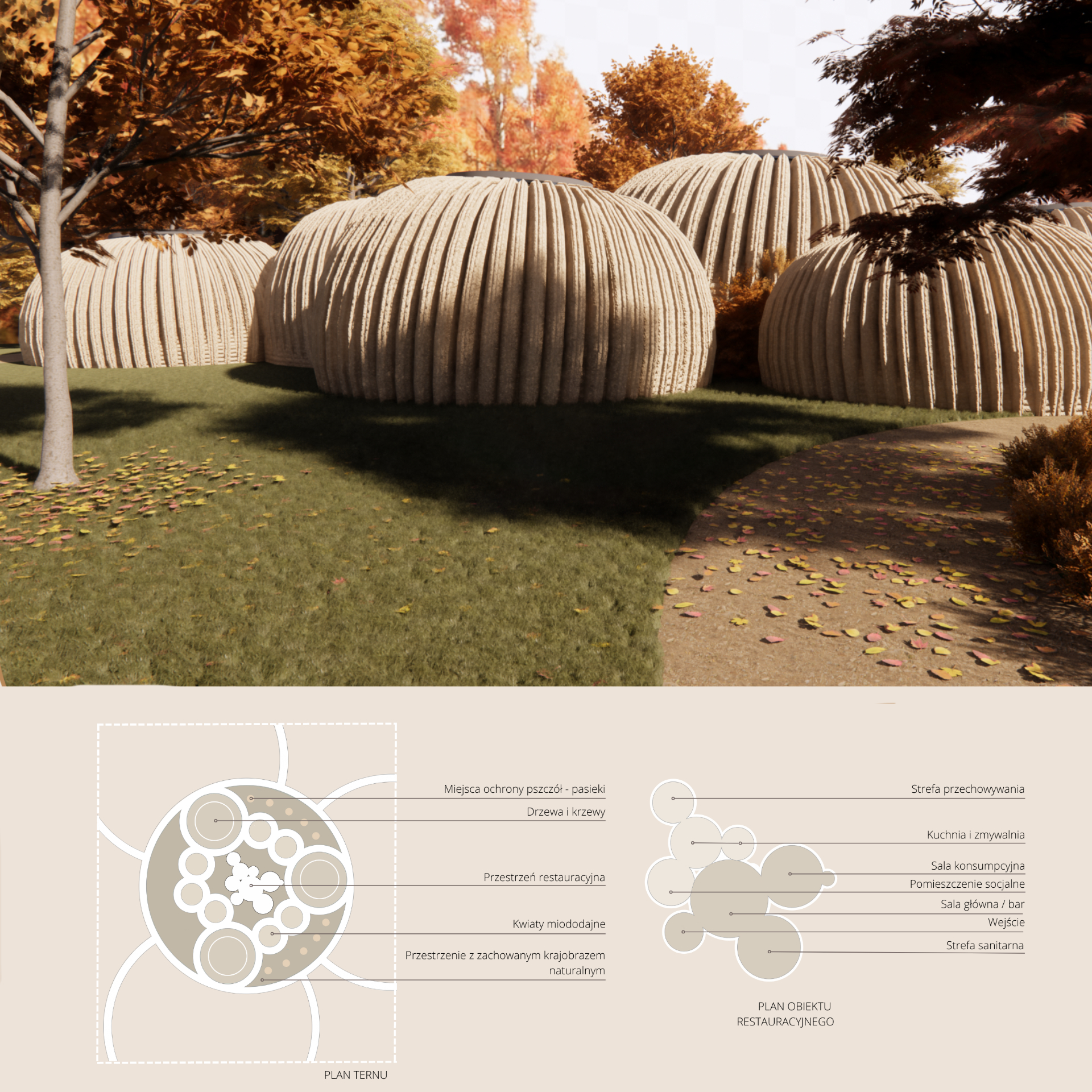 u góry planszy wizualizacja architektury z zewnątrz w kontekście z drzewami, połączone organiczne formy, na dole planszy plan terenu oraz plan obiektu.