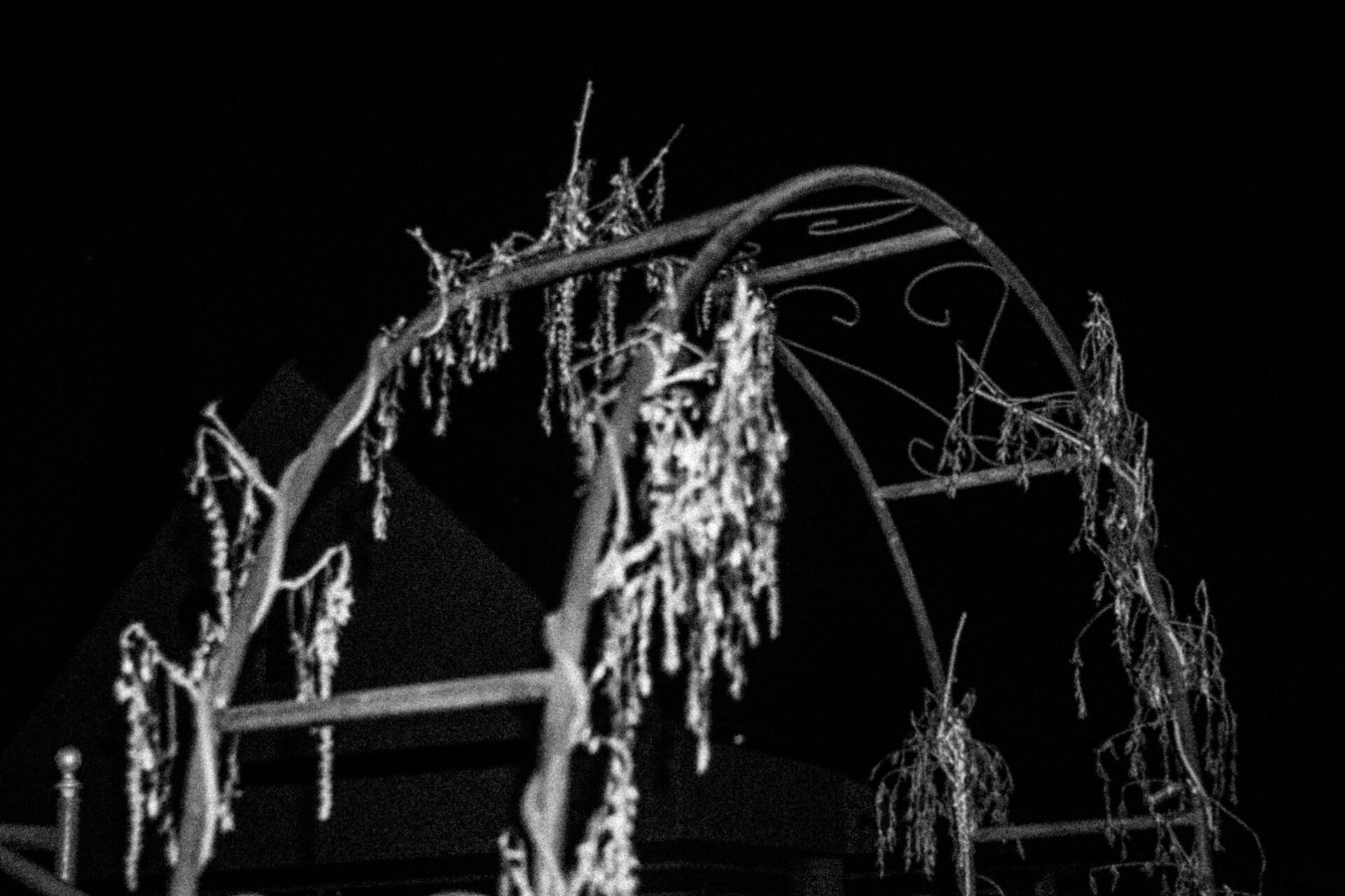 Czarno białe fotografie przedstawiają fragmenty domu, furtki, podwórka, jakiegoś budynku w oddali, altany, meble. Są fotografowane za pomocą lampy błyskowej co podbija ich mroczny charakter. 
