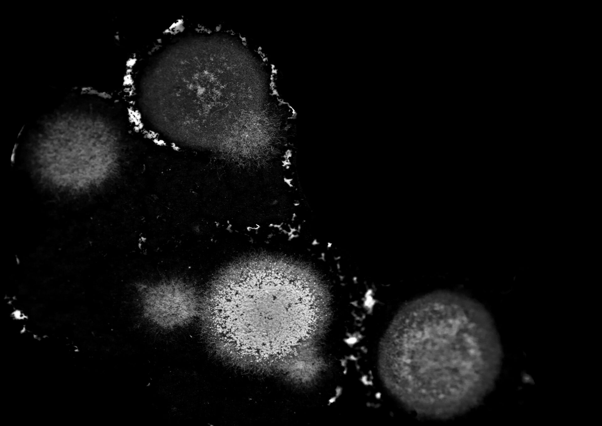 Cykl składa się z fotografii, które przedstawiają niezidentyfikowane obiekty w dużym przybliżeniu w czerni i bieli, które mają przypominać planetę Solaris. Dodatkowo, są też czerwono czarne fotografie postaci kobiecych, fotografowanych of tyłu oraz abstrakcyjne obrazy odcieniach czerwieni, symbolizuje ocean. 
