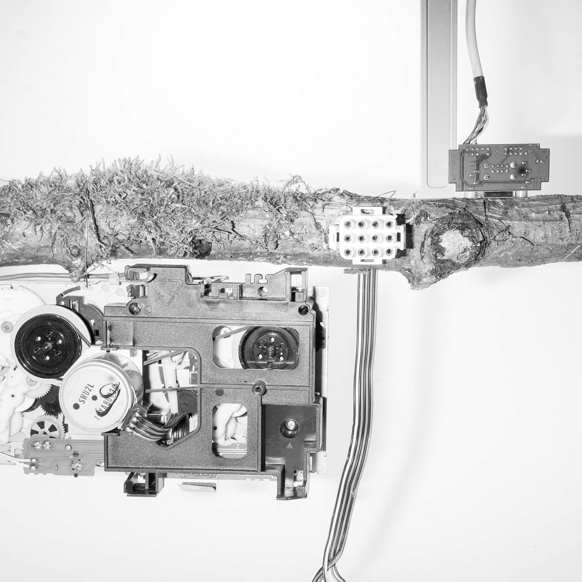 Fotografie przedstawiają hybrydy roślin i elementów pozyskiwanych z odpadów urządzeń elektronicznych. Są to formy konstruowane do czarno białej fotografii.